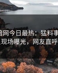 爆料网暗网今日最热：猛料事件曝光，明星现场曝光，网友直呼过瘾