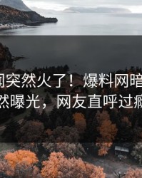 今日秘闻突然火了！爆料网暗网大V居然曝光，网友直呼过瘾