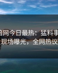 爆料网暗网今日最热：猛料事件曝光，明星现场曝光，全网热议不断