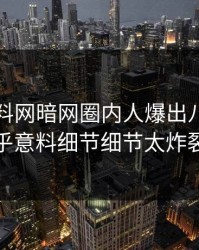 今晨爆料网暗网圈内人爆出八卦，出乎意料细节细节太炸裂