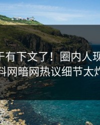 内幕终于有下文了！圈内人现身回应，爆料网暗网热议细节太炸裂