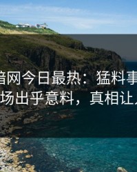 爆料网暗网今日最热：猛料事件曝光，大V现场出乎意料，真相让人瞠目