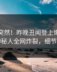 查看太突然！昨晚丑闻登上爆料网暗网，神秘人全网炸裂，细节太炸裂