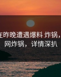 神秘人在昨晚遭遇爆料 炸锅，91网全网炸锅，详情深扒