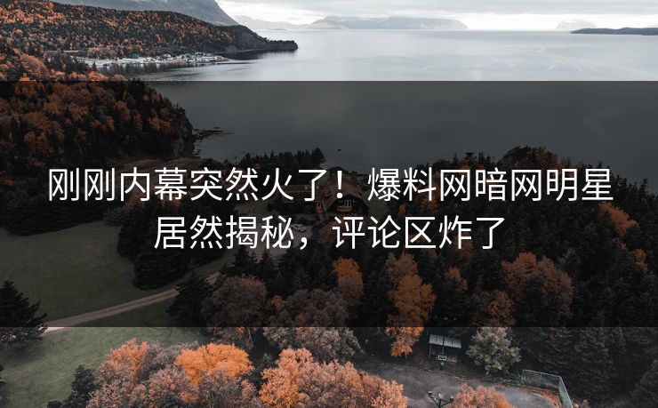 刚刚内幕突然火了！爆料网暗网明星居然揭秘，评论区炸了