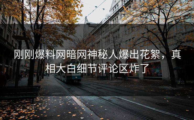 刚刚爆料网暗网神秘人爆出花絮，真相大白细节评论区炸了