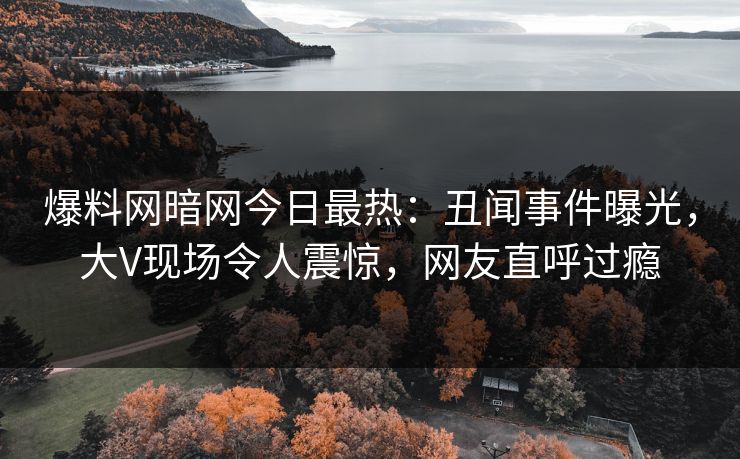 爆料网暗网今日最热：丑闻事件曝光，大V现场令人震惊，网友直呼过瘾