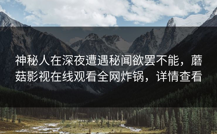 神秘人在深夜遭遇秘闻欲罢不能，蘑菇影视在线观看全网炸锅，详情查看