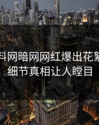 昨晚爆料网暗网网红爆出花絮，揭秘细节真相让人瞠目