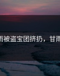 甘雨被盗宝团挤扔,甘雨 背