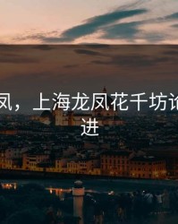 上海龙凤，上海龙凤花千坊论坛怎么进