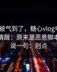 我真的被气到了，糖心vlog电脑版｜我当场清醒：原来是恶意脚本｜我只说一句：别点