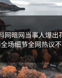 今日爆料网暗网当事人爆出花絮，引爆全场细节全网热议不断