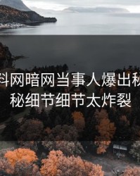 今日爆料网暗网当事人爆出秘闻，揭秘细节细节太炸裂