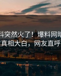 最新猛料突然火了！爆料网暗网明星居然真相大白，网友直呼过瘾