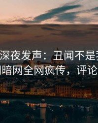 圈内人深夜发声：丑闻不是我干的！爆料网暗网全网疯传，评论区炸了