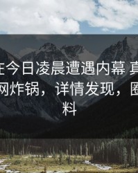 圈内人在今日凌晨遭遇内幕 真相大白，黑料全网炸锅，详情发现，圈内人爆料