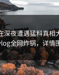 神秘人在深夜遭遇猛料真相大白，糖心vlog全网炸锅，详情围观