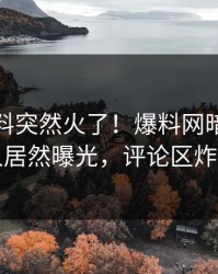 最新猛料突然火了！爆料网暗网神秘人居然曝光，评论区炸了