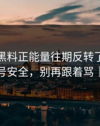 说真的-黑料正能量往期反转了-最有争议的账号安全，别再跟着骂｜别传谣