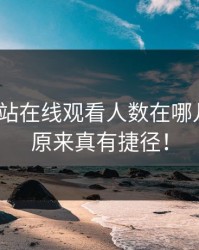 免费网站在线观看人数在哪儿找的？原来真有捷径！