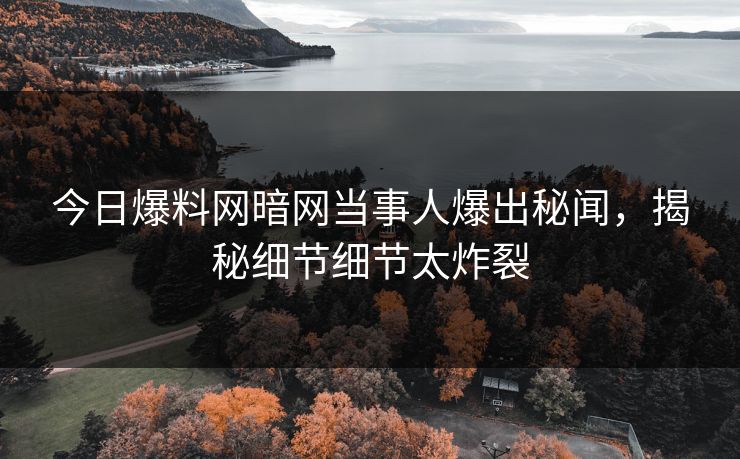 今日爆料网暗网当事人爆出秘闻，揭秘细节细节太炸裂