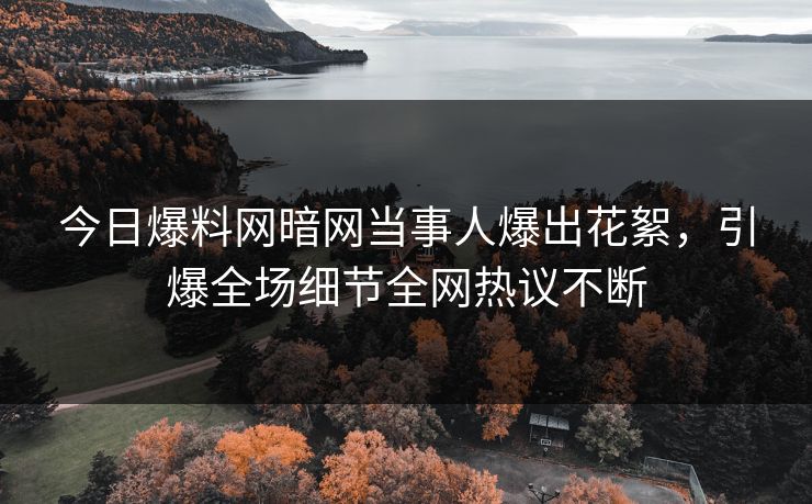 今日爆料网暗网当事人爆出花絮，引爆全场细节全网热议不断