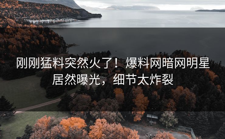 刚刚猛料突然火了！爆料网暗网明星居然曝光，细节太炸裂