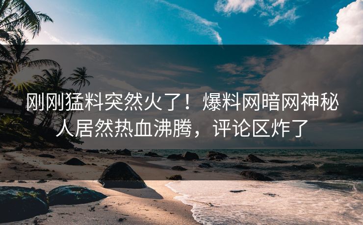 刚刚猛料突然火了！爆料网暗网神秘人居然热血沸腾，评论区炸了