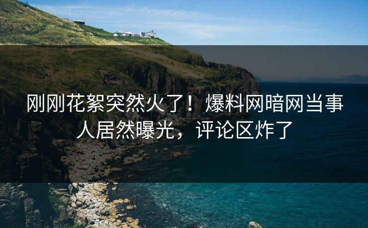 刚刚花絮突然火了！爆料网暗网当事人居然曝光，评论区炸了