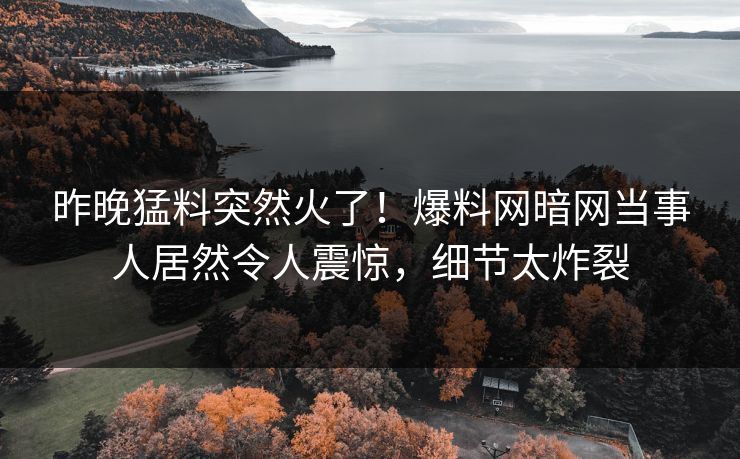 昨晚猛料突然火了！爆料网暗网当事人居然令人震惊，细节太炸裂