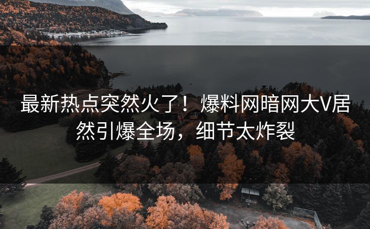 最新热点突然火了！爆料网暗网大V居然引爆全场，细节太炸裂