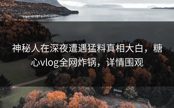 神秘人在深夜遭遇猛料真相大白，糖心vlog全网炸锅，详情围观