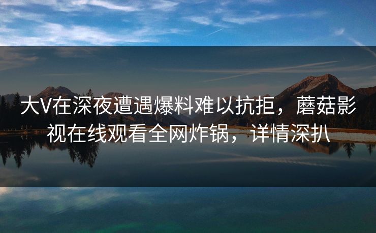 大V在深夜遭遇爆料难以抗拒，蘑菇影视在线观看全网炸锅，详情深扒