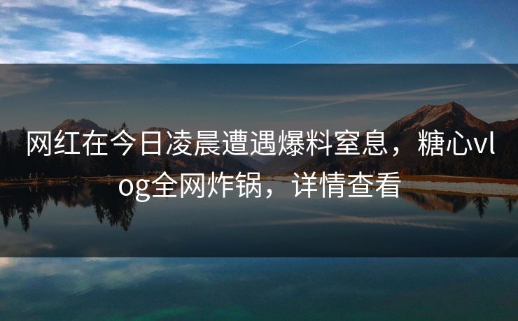 网红在今日凌晨遭遇爆料窒息，糖心vlog全网炸锅，详情查看